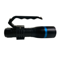 鸿灵睿芯 DT16F 305*117*82mm 22.2V 12W IP66 LED 手提式工作灯(计价单位:盏)黑色