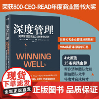 []深度管理 突破管理困境的25条黄金法则 大卫戴伊著 职场领导管理学 企业管理者实战指南 经济管理书
