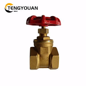 腾友安铜闸阀DN20/个