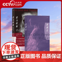 [央视网]2册套装 艾丽斯沃克作品系列 紫颜色+爱与烦恼 婚姻爱情 西方女性主义经典之作 外国文学小说书籍HL