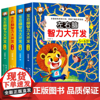全套4册幼儿童左右脑开发书2-3-4-5-6岁宝宝智力开发图书籍益智早教全脑开发思维训练专注力培养游戏书幼儿园数学大班启