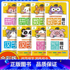 8本套装 [正版]爱德少儿8册全彩版幼小衔接描红练习本数字描红1一10幼小衔接练字帖汉字描红幼儿园中班大班拼音描红上册幼