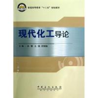正版新书]现代化工导论张娜//王强//时维振 著9787511418456