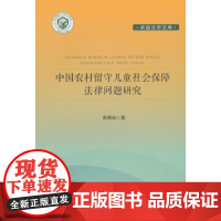 中国农村留守儿童社会保障法学文集_经典著作问题研究 董溯战 中国政法大学出版社 正版书籍