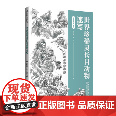 世界珍稀灵长目动物速写 一部稀灵长目动物的科普读物,采用速写绘画方式生动呈现!