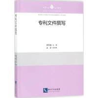 音像专利文件撰写唐代盛 主编