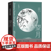 望月:张翎作品集·长篇小说卷(电影《唐山大地震》原著作者张翎文学创作生涯长篇处女作)