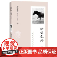 除你之外(席慕蓉诗歌典藏·新版) 长江文艺出版社