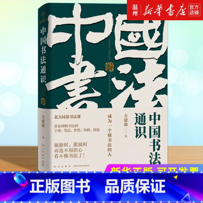 [正版]中国书法通识 方建勋北大书法课同款 六度书法理论书体笔墨性情书写观念再造书法大家名作书法入门指南 练字书法