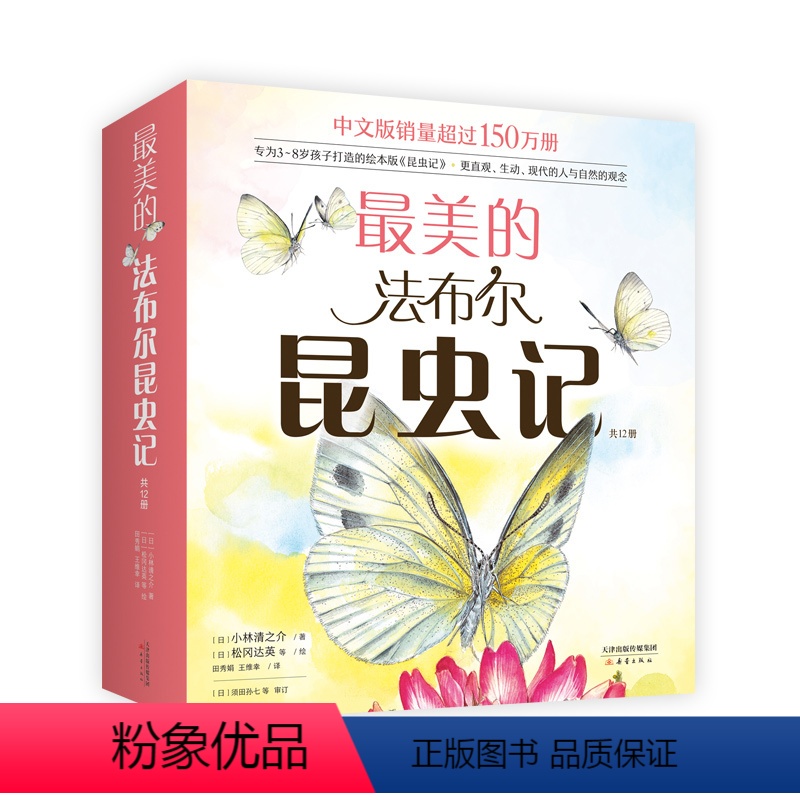 全12册 [正版] 美的法布尔昆虫记 全套12册 自然 儿童科普绘本 手绘彩图 名著 经典 昆虫 松冈达英 图书籍