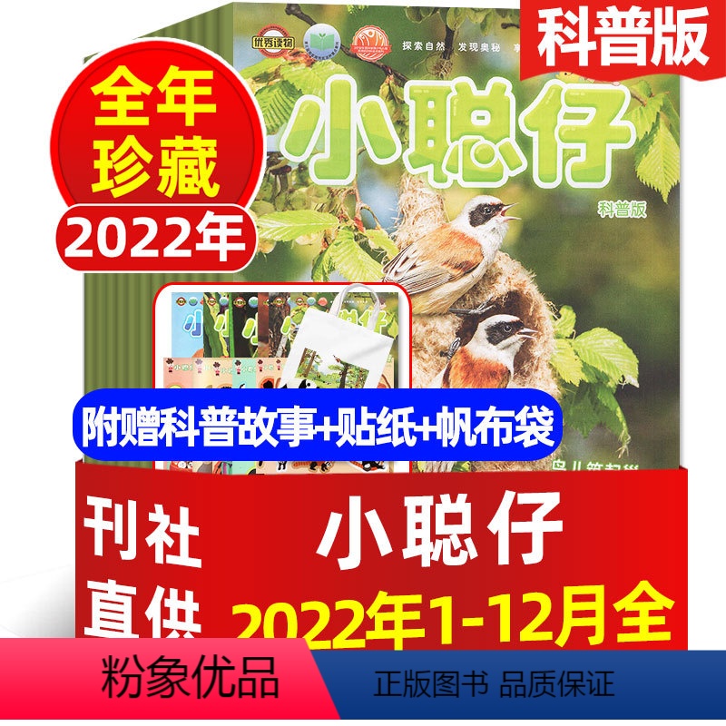 1[送帆布袋]全年珍藏2022年1-12月 [正版]小聪仔科普版杂志2023年1-12月(2024全年订阅/2022/2