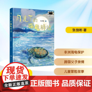 月光下的海龟驿站 2025年暑假百班千人三年级 张剑彬 著小学生8-9岁阅读课外书经典儿童文学湖南少年儿童出版社新华正版