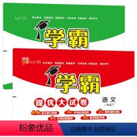 [全2册]语文+数学(北师版) 一年级下 [正版]2024春新版小学学霸提优大考卷一年级下册语文数学全套1年级下人教版苏