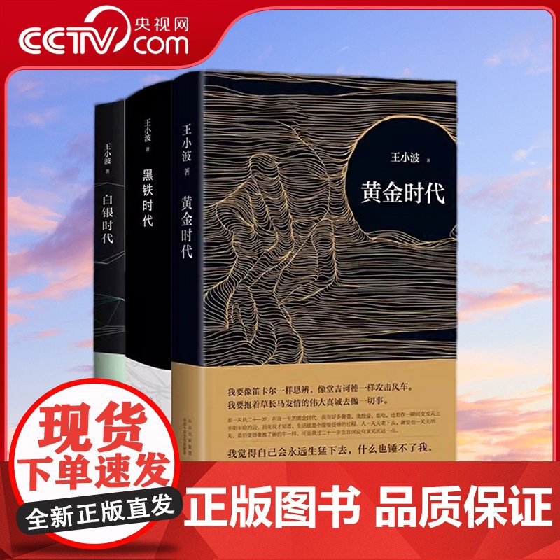 [央视网]王小波时代三部曲 白银时代+黑铁时代+黄金时代新版 SS