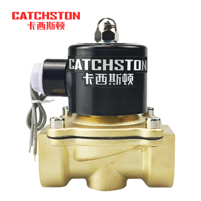 卡西斯顿 管道电磁阀 2W025-08 个
