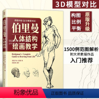 [正版]伯里曼人体结构绘画教学 乔治·伯里曼 1500例人体解剖素描 入门自学零基础 人体素描基础 艺考人物速写线描