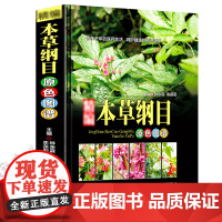 [精装正版]精编本草纲目原色图谱 中草药图谱本草纲目李时珍中草药彩图中医基础理论大全神农本草经李时珍全集中医养生书籍