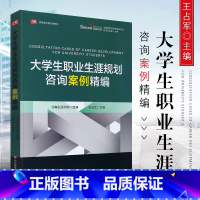 [正版]大学生职业生涯规划咨询案例精编 北森生涯学院王占军主编 华东师范大学出版社 大学生职业选择与规划咨询案例集 职