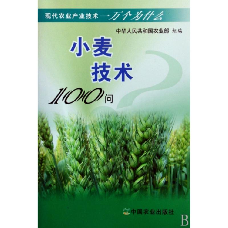 正版新书]小麦技术100问/现代农业产业技术一万个为什么肖世和97
