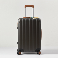 Z.M.N.(法国啄木鸟)经典竖条拉杆箱(拉链型)24寸-帕其克ZRA-9013-2