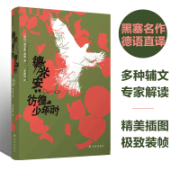 音像德米安:彷徨少年时赫尔曼·黑塞