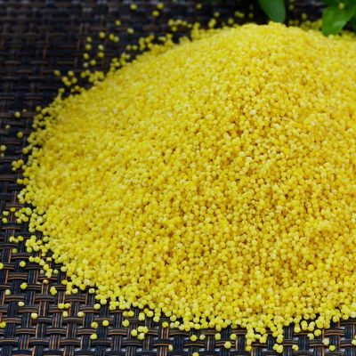5斤东北农家黄小米小黄米吃的食用小米粥粗杂粮批发