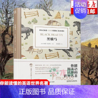 [正版]黑骏马(英汉对照)/床头灯英语3000词读物 中英双语读物系列 八九年级上下册世界名著阅读 初中生初二初三小说课