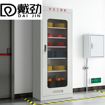 戴劲电力工具柜安全柜绝缘柜恒温除湿柜配电房钢制安全器具柜常规款一