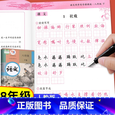 [8年级下册]语文+英语+古诗词 [正版]八年级下册语文同步写字课课练练字帖8年级上册下册每日一练初中生练字本天天练语文