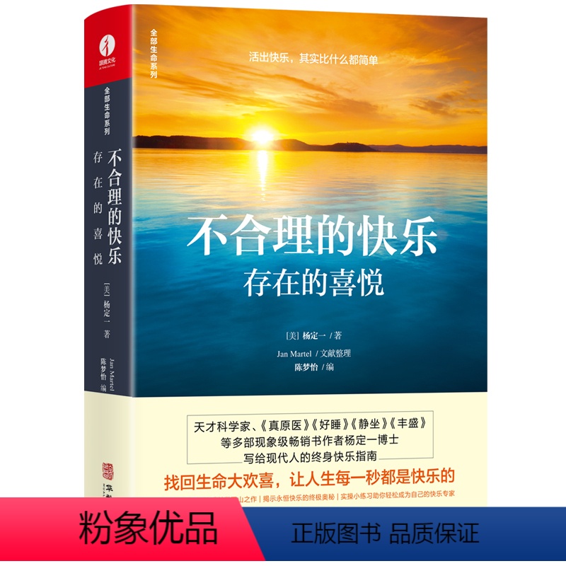 [正版]杨定一不合理的快乐 存在的喜悦 杨定一的书全部的你系列之一 正能量文学书籍 心理励志成长青春励志心灵与修养书籍