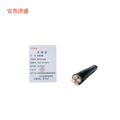 安普津盛 铜芯电力电缆YJV3*10+1*6mm 0.6/1kv米