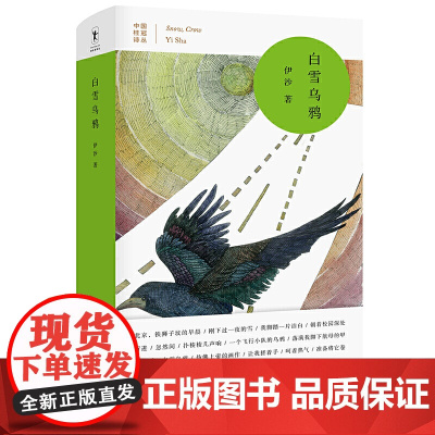 白雪乌鸦 伊沙 四川文艺出版社 正版书籍