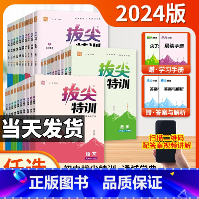 [人教版]数学 九年级上 [正版]2024初中拔尖特训七八九年级上册语文数学英语物理化学人教北师大华师沪科 初一二初三7