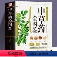 [正版]543页中草药全图鉴 全彩草药实图拍摄 中草药大全中医书籍中医专家审定养生速查全图解 中草药书中药书籍养生保健