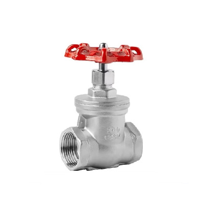 伟鹏双兴 304不锈钢丝扣闸阀 DN20(6分) 个