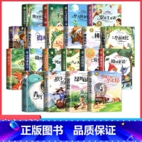 [全20册]国际儿童文学书系①+② [正版]全套10册 国际儿童文学经典书系彩图注音版一年级二年级阅读课外书必读小学生书