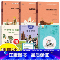 [全6册]读思达 六年级下 [正版]25春读思达整本书阅读六年级上下册小兵张嘎非法智慧骑鹅旅行记鲁滨逊漂流记汤姆索亚历险