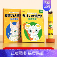 入门+初级+12色彩铅笔 [正版]时光学专注力大挑战魔法线条入门级初级中级高级全套4册带铅笔图画书幼儿园儿童益智游戏益智