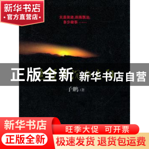 正版 追赶西沉的太阳 子鹏著 百花文艺出版社 978753065782