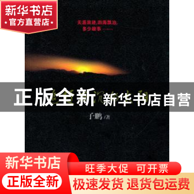正版 追赶西沉的太阳 子鹏著 百花文艺出版社 978753065782