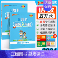 数学-人教版 五升六 [正版]2024新版小学五升六暑假衔接人教版语文数学五年级暑假作业上下册暑假预习复习一本通提优训练