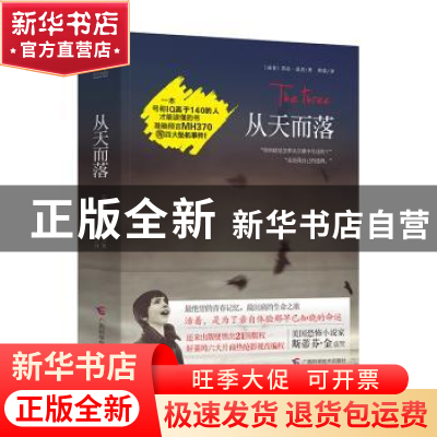 正版 从天而落 (南非)莎拉·落茨著 广西科学技术出版社 978755510