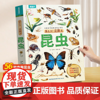 [好物体验专享]那么大立体书昆虫恐龙太空 儿童书籍互动小学生科普百科全书科普翻翻书课外阅读书籍幼儿园3D立体书绘本