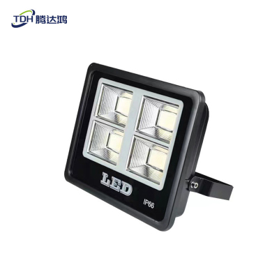 腾达鸿-LED投光灯 球场灯高杆灯 150W /个