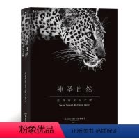 [正版]神圣自然:生命的永恒之舞 乔纳森·斯科特 社会科学书籍
