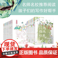 自然笔记 全套16册 金波著 美绘版昆虫印象春夏秋冬都是画/微小的春天小学生三四五六年级儿童文学童话故事书散文江苏少儿社