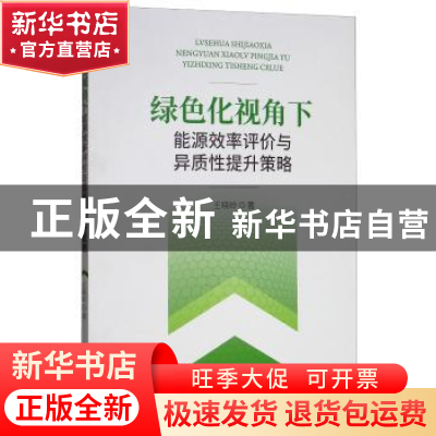 正版 绿色化视角下能源效率评价与异质性提升策略 王晓岭著 经济