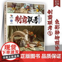 制霸联考5色彩静物照片 2024烈公文化庞宇韬陈燕兴色彩基础色调造型水果蔬菜花卉综合写生风景范画对照考题综合联考校考