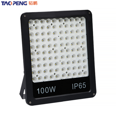 韬鹏 投光灯 100W 个