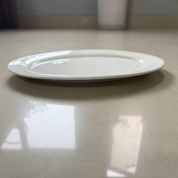 莘煊 鱼盘 12寸 个